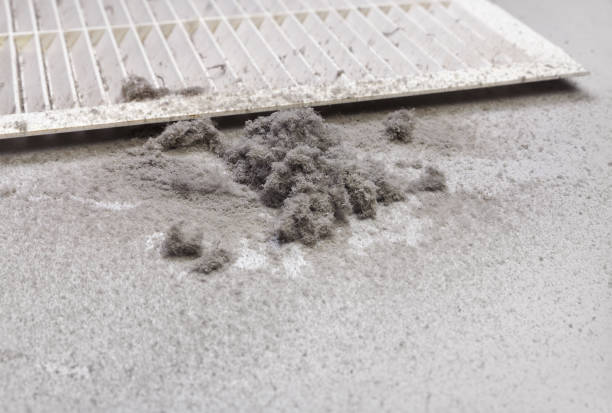 Best Air Duct Cleaning Near Me  in Somerset, WI
