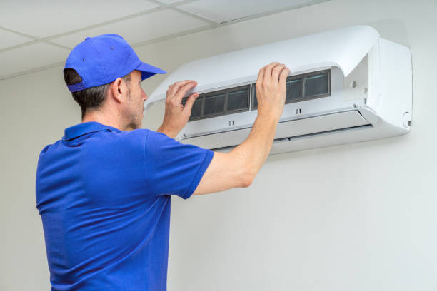Best Air Duct Sanitizing Services  in Somerset, WI